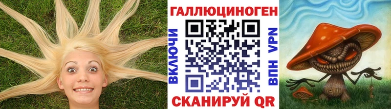 площадка состав  сколько стоит  Микунь  Псилоцибиновые грибы мицелий 